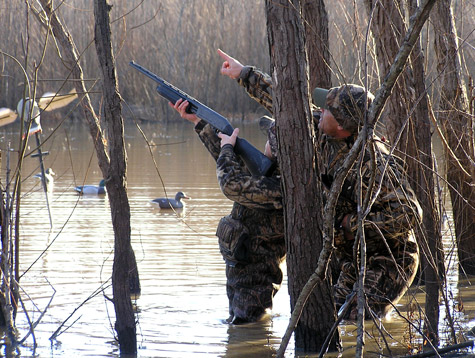 Teaching tip: Pick first hunts carefully