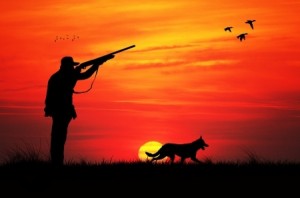 hunting at sunset