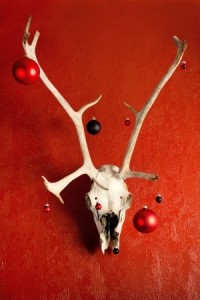 Deer skull decorated for Christmas hanging in a red wall