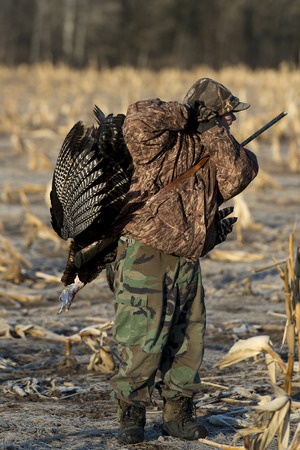 Wild Turkey Hunting