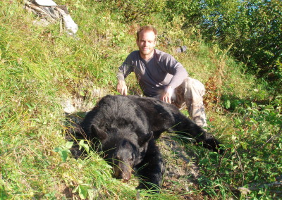 Alaska Black Bear (2010)