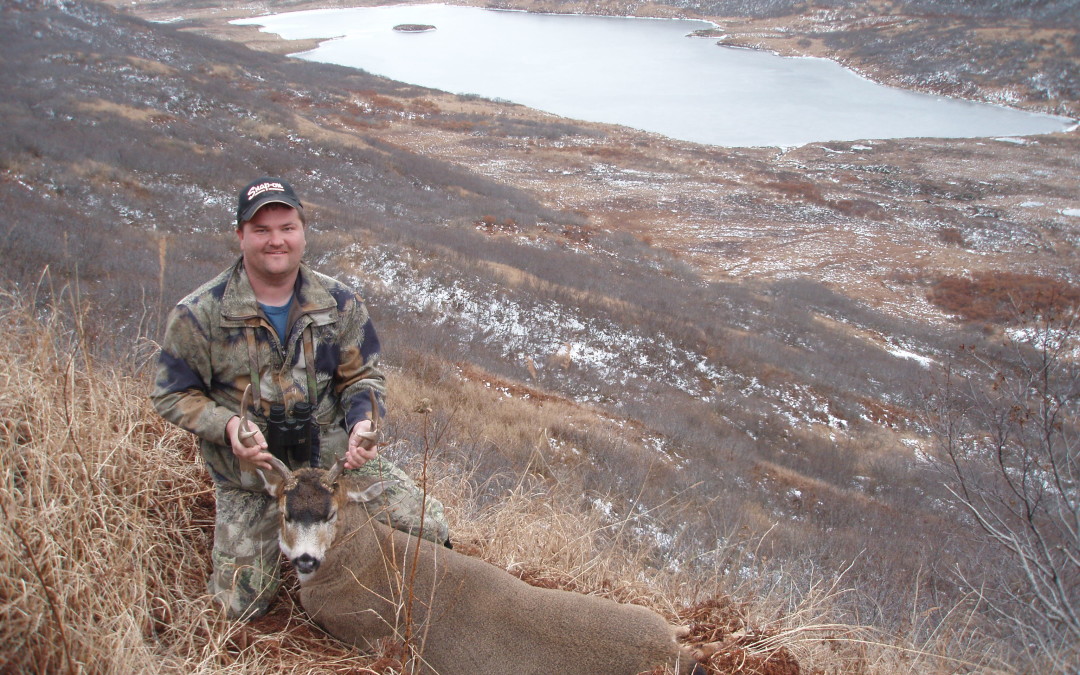 Alaska Blacktail Deer (2008)