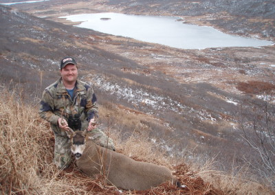 Alaska Blacktail Deer (2008)