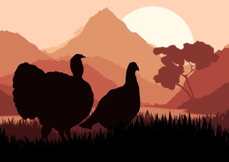 Hunting turkey is tough. Try these tips to bag that gobbler!