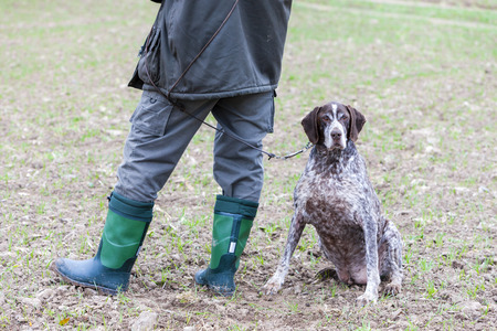Making sure your hunting dog is ready to work