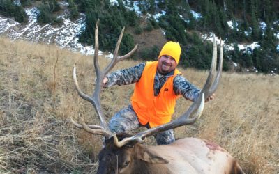 2016 high country Colorado bull elk