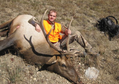 Bull Elk (2008)